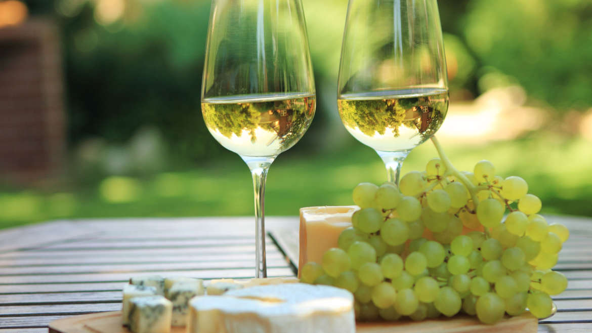 How to Pair Different Wines with Your Favorite Food